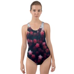 Floral Stars -dark Red Cut-out Back One Piece Swimsuit by okhismakingart