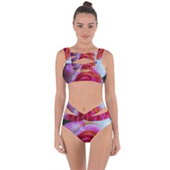 Spiral Rose Bandaged Up Bikini Set  by okhismakingart