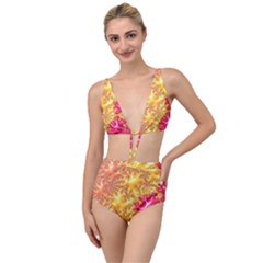 Fractal Math Mathematics Science Tied Up Two Piece Swimsuit