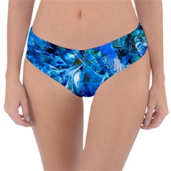 Tropic Reversible Classic Bikini Bottoms by WILLBIRDWELL