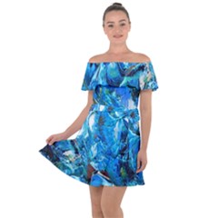 Tropic Off Shoulder Velour Dress by WILLBIRDWELL