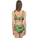 Seamless Turtle Green Cage Up Bikini Set View2