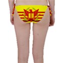 War Flag of South Vietnam Bikini Bottom View2