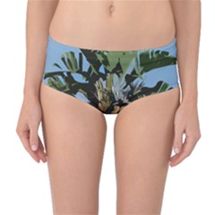 Palm Tree Mid-waist Bikini Bottoms by snowwhitegirl