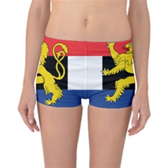 Flag Of Benelux Union Boyleg Bikini Bottoms by abbeyz71