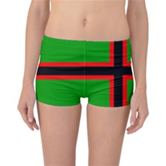 Karelia Nationalist Flag Reversible Boyleg Bikini Bottoms by abbeyz71
