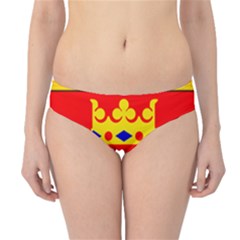 Coat Of Arms Of Province Of Karelia Hipster Bikini Bottoms by abbeyz71