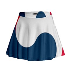 Government Emblem Of Government Of Republic Of Korea Mini Flare Skirt by abbeyz71