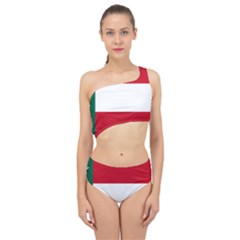 Flag Of The Republic Of Yucatán Spliced Up Two Piece Swimsuit by abbeyz71