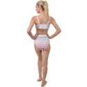 Horizontal pinstripes in soft colors Tied Up Two Piece Swimsuit View2