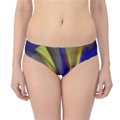 Soft Swirls Fractal Design Hipster Bikini Bottoms by Pakrebo