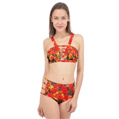 Orange Tulips At The Commons Cage Up Bikini Set by Riverwoman