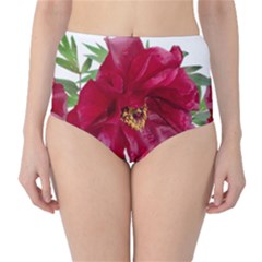 Flowers Red Peony Arrangement Classic High-waist Bikini Bottoms by Pakrebo