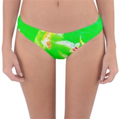 Koi Carp Scape Reversible Hipster Bikini Bottoms by essentialimage