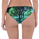 Hot Day In Dallas 5 Reversible Hipster Bikini Bottoms View2