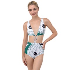 Flag Of The Organization Of Islamic Cooperation Tied Up Two Piece Swimsuit by abbeyz71