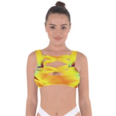 Color Concept Colors Colorful Bandaged Up Bikini Top by Wegoenart