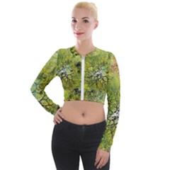 Abstract Spots Lines Green Long Sleeve Cropped Velvet Jacket by Vaneshart