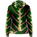 Exotic Green Leaf Women s Pullover Hoodie View2