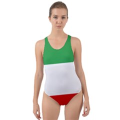 Flag Of Iran (1964–1980) Cut-out Back One Piece Swimsuit by abbeyz71