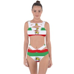 State Flag Of The Imperial State Of Iran, 1907-1979 Bandaged Up Bikini Set  by abbeyz71