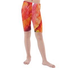 Tulip Watercolor Red And Black Stripes Kids  Mid Length Swim Shorts by picsaspassion