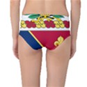 Coat of Arms of United States Army 133rd Field Artillery Regiment Mid-Waist Bikini Bottoms View2