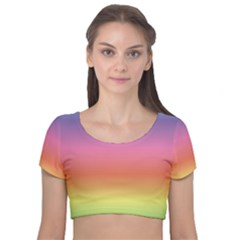 Rainbow Shades Velvet Short Sleeve Crop Top  by designsbymallika