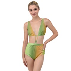 Green Orange Shades Tied Up Two Piece Swimsuit by designsbymallika
