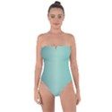 BLUE SHADES Tie Back One Piece Swimsuit View1