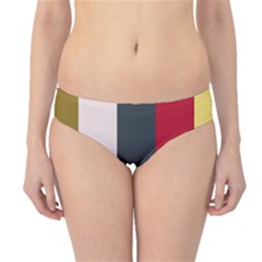 Stripey 18 Hipster Bikini Bottoms by anthromahe