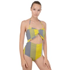 Stripey 21 Scallop Top Cut Out Swimsuit by anthromahe