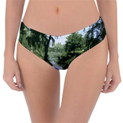 Away From The City Cutout Painted Reversible Classic Bikini Bottoms by SeeChicago