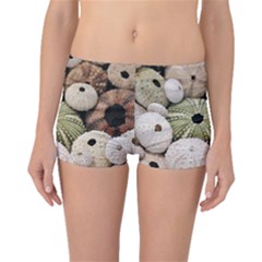 Sea Urchins Boyleg Bikini Bottoms by TheLazyPineapple