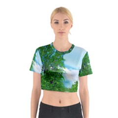 Airbrushed Sky Cotton Crop Top by Fractalsandkaleidoscopes