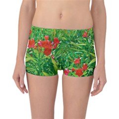 Red Flowers And Green Plants At Outdoor Garden Reversible Boyleg Bikini Bottoms by dflcprintsclothing