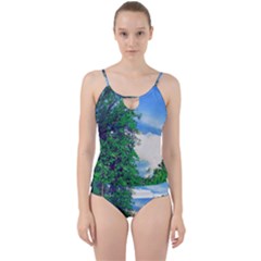 The Deep Blue Sky Cut Out Top Tankini Set by Fractalsandkaleidoscopes