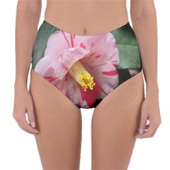 Striped Pink Camellia Ii Reversible High-waist Bikini Bottoms by okhismakingart