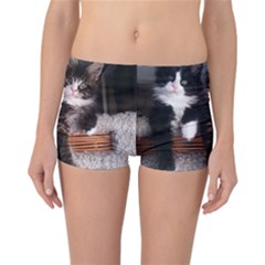 Cats Brothers Reversible Boyleg Bikini Bottoms by Sparkle