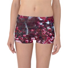 Red Floral Reversible Boyleg Bikini Bottoms by Sparkle