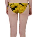 Yellow Roses Bikini Bottom View2