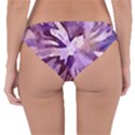 Plum Purple Abstract Floral Pattern Reversible Hipster Bikini Bottoms View2