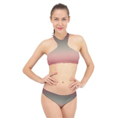Tea Rose And Sage Gradient Ombre Colors High Neck Bikini Set by SpinnyChairDesigns