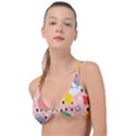 Cats and fruits  Knot Up Bikini Top View1