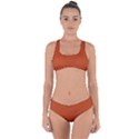 True Rust Color Criss Cross Bikini Set View1