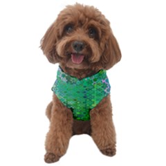 Boho Green Floral Print Dog Sweater by SpinnyChairDesigns