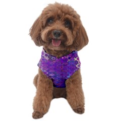 Boho Purple Floral Print Dog Sweater by SpinnyChairDesigns