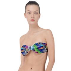 Rainbowcat Classic Bandeau Bikini Top  by Sparkle