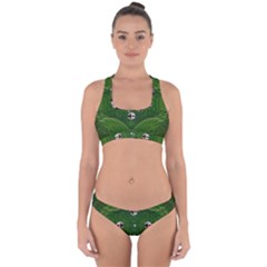 One Island In A Safe Environment Of Eternity Green Cross Back Hipster Bikini Set by pepitasart
