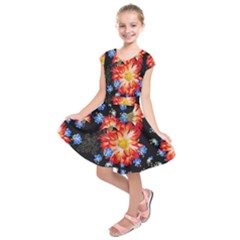 Orange And Blue Chamomiles Design Kids  Short Sleeve Dress by ArtsyWishy